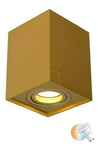 Check Lucide TUBE Golden GU10 LED Ceiling Downlight 22953/01/02