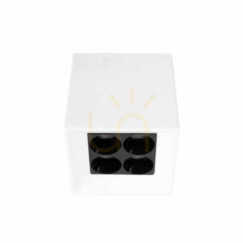 Check Plafon Max Light X-Line C0251 biały 4x5W LED 3000K 6,2x6,2 cm