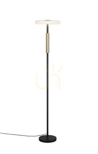 Check Trio CELESTE Floor Lamp 454910165