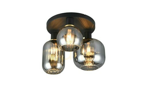 Check Trio DIVA Plafond 619800332