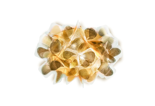 Check Slamp Clizia Applique Mama Non Mama Gold wall lamp