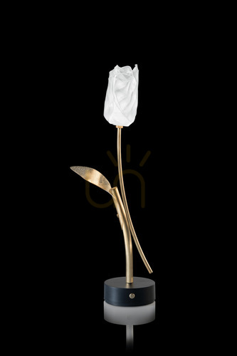 Check Slamp Tulip Modern Lamp Battery Black Base.