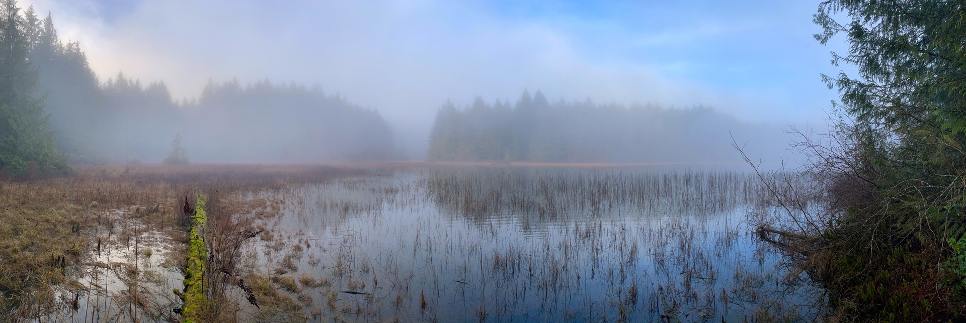 Mural of a lake in the forest in the fog, Bongripper Pond - Shawnigan - Canada