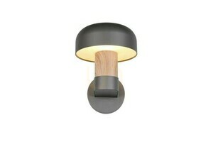 Trio FRASER outdoor wall lamp 262560135 small 3