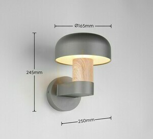 Trio FRASER outdoor wall lamp 262560135 small 6