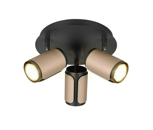 Check Trio GILLAN Plafond 814530365