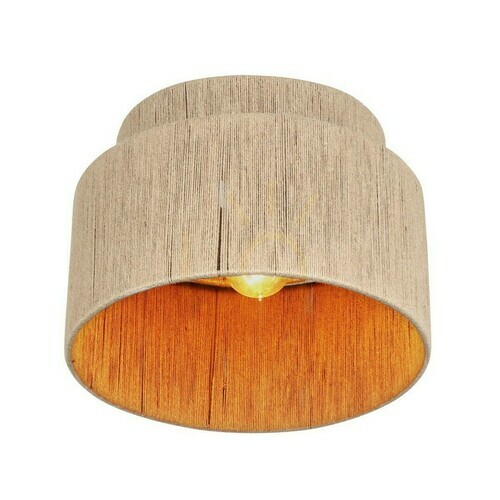 Check Trio SMILLA Plafond 666800136
