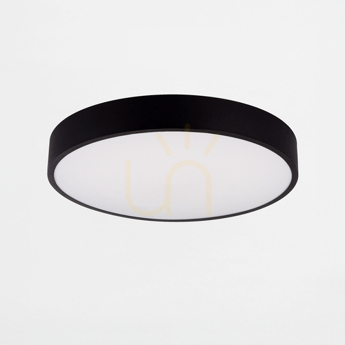 Check Ceiling light Zuma Line NADI MS724-R400 LED