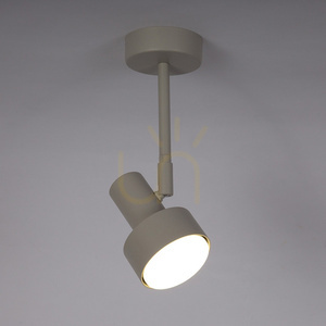 Plafon Sigma MONA 1xGX53 grey 12W stal malowana 40903 small 1