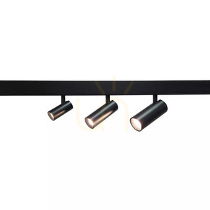 Beter 5W Magnet Line LED spotlight black TLV-03-07 small 3
