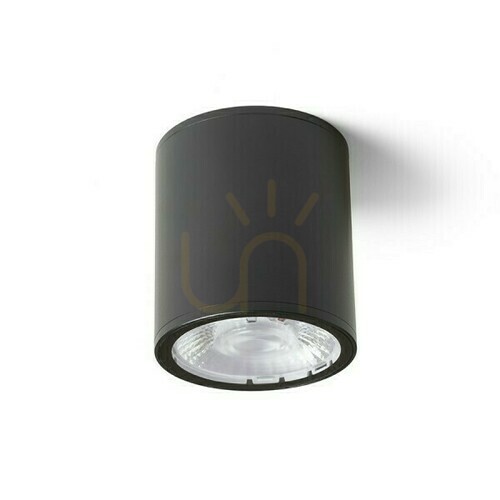 Check Plafonds Outdoor Cornelia 10 Ceiling Black 230 V Led 15 W Ip65 3000 K