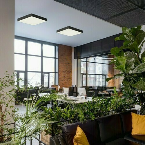 Check Larisa Sq 60 Dimm Ceiling Plafond Black 230 V Led 100 W 3000 K 4000 6500