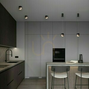 Juniper Ceiling Downlight Black/Gold 230 V Led 15 W 30° 3000 K small 2