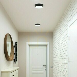 Outdoor Ceiling/Wall Light Larisa Out 22 Surface Mounted Black 230V LED 20W IP65 3000K/4000K/5700K small 2