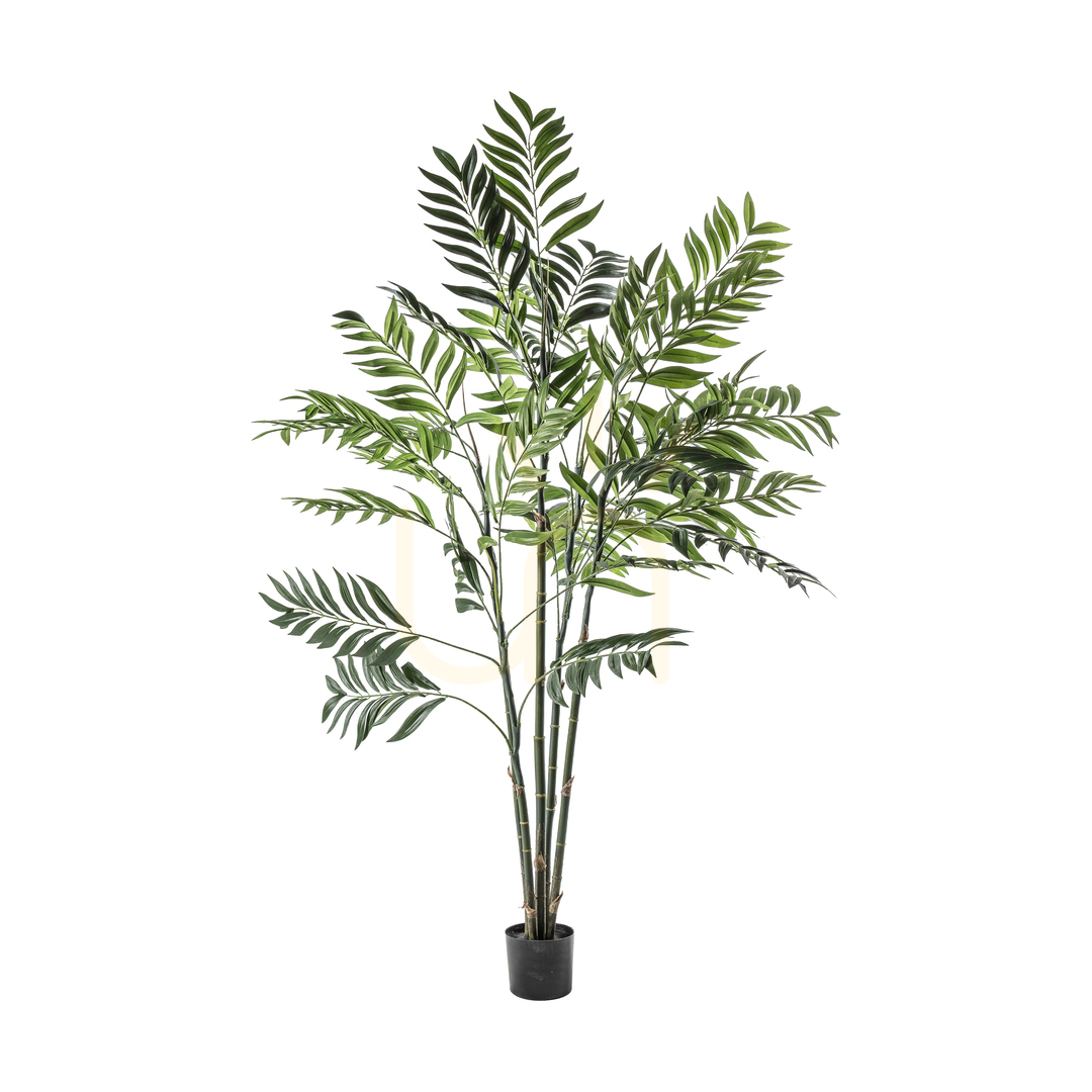 Check Areca Palm Tree Gallery Direct Green 152cm 5059413399770 Areca Palm Tree Gallery Direct Green 152cm 5059413399770