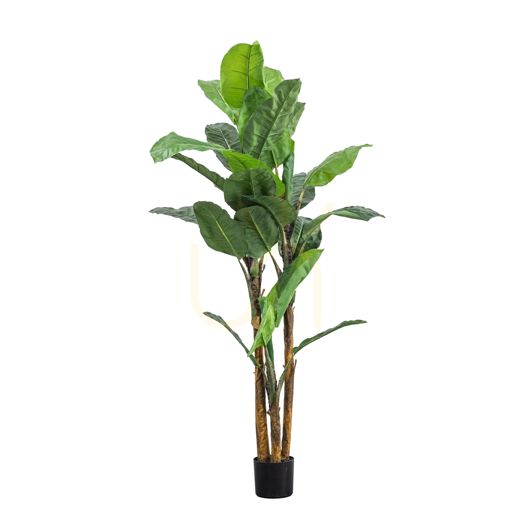 Banana Palm Artificial Plant Gallery Direct Green 203 cm
