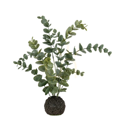 Check Eucalyptus Plant in Soil Dusky Green 46cm Gallery Direct 5059413872785