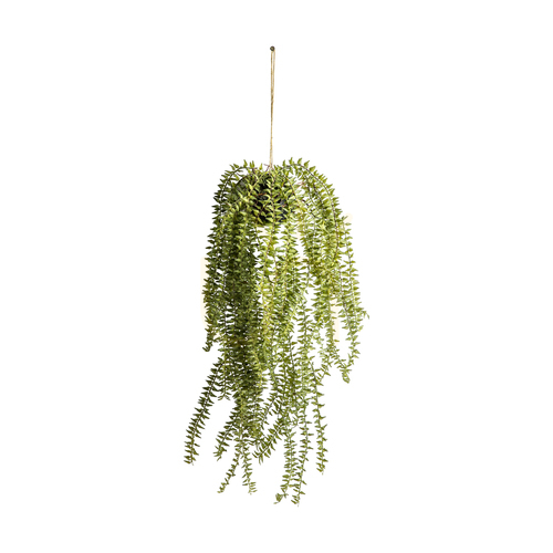 Check Hanging Horsetail Cactus in Pot Green 58cm Gallery Direct 5059413399480