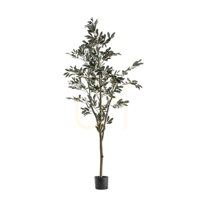 Olive Tree Large 182cm Green Artificial Plant Gallery Direct 0 Olive Tree Large 182cm Green Artificial Plant Gallery Direct small 0