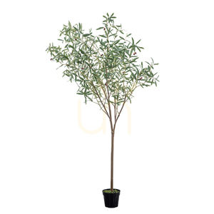 Olive Tree Large Green 202cm Gallery Direct 5059413698637 small 0