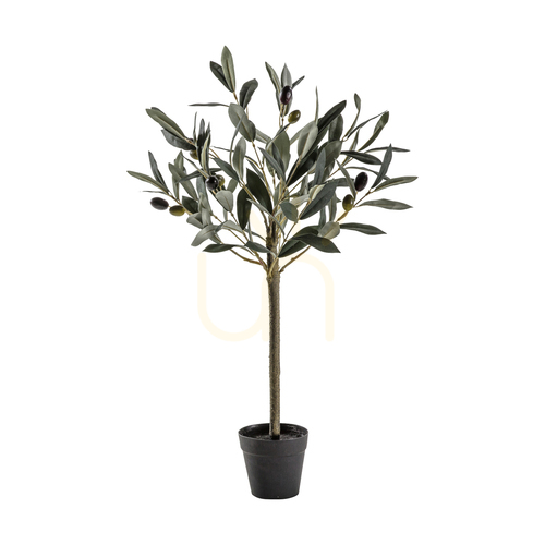 Check Olive Tree Small Gallery Direct Green 60cm 5059413399824