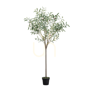 Olive Tree Gallery Direct Small Green Artificial Plant 172cm 0 Olive Tree Gallery Direct Small Green Artificial Plant 172cm small 0