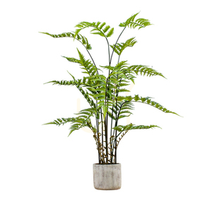 Artificial Fern in Cement Pot Gallery Direct 106cm Cream Green 0 Artificial Fern in Cement Pot Gallery Direct 106cm Cream Green small 0