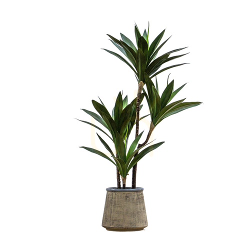 Check Yucca Potted Tree in Ceramic Pot Green 65cm Gallery Direct 5059413694295
