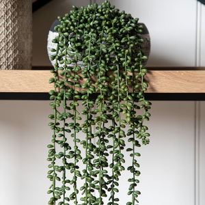 Artificial String of Pearls Hanging Plant Gallery Direct Green 72 cm small 2