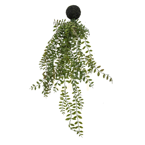 Check Hanging Fern with Soil Ball Green 60cm Gallery Direct 5059413693779