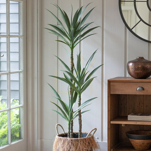 Yucca Tree 150cm Green Artificial Plant Gallery Direct 5059413399152 1 Yucca Tree 150cm Green Artificial Plant Gallery Direct 5059413399152 small 1