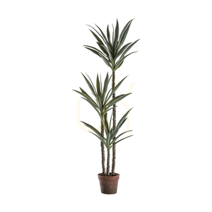 Yucca Tree 150cm Green Artificial Plant Gallery Direct 5059413399152 0 Yucca Tree 150cm Green Artificial Plant Gallery Direct 5059413399152 small 0