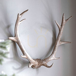 Antler Wall Art Gallery Direct Bjorn Whitewash Poly Resin 55cm small 1