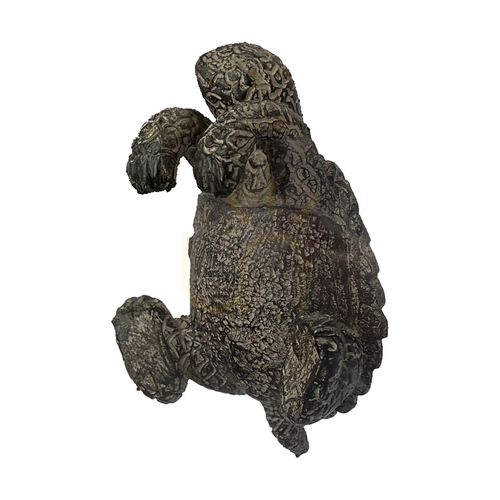 Check Pot Hanger Gallery Direct Winston Tortoise Natural Polyresin 2 Pack 5059413410857