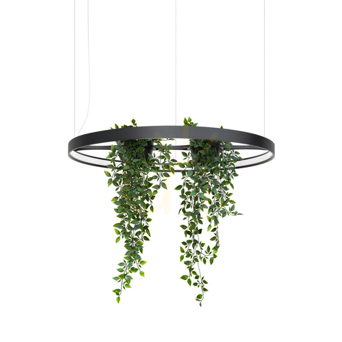 Check RIO BIO 78 black LED 4000K chandelier