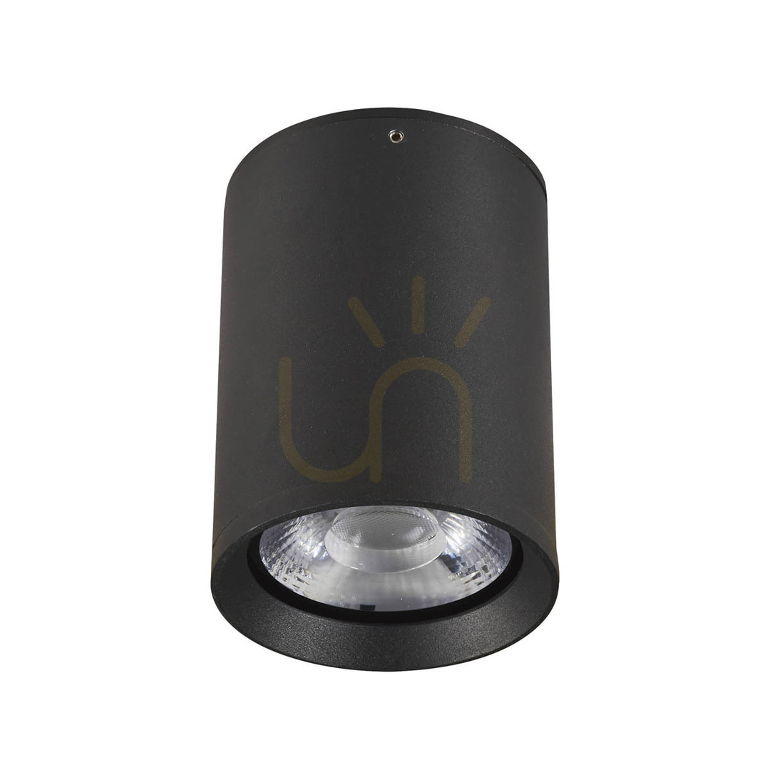 Outdoor Ceiling Light Italux Black Glass LED 9W 4000K IP54 OPN-2003-4K