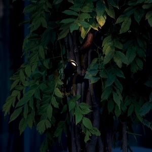 Outdoor Wall Lamp Ideallux KOALA 345666 Black LED 7W IP54 small 2