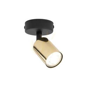 Top Gold 1 small 2