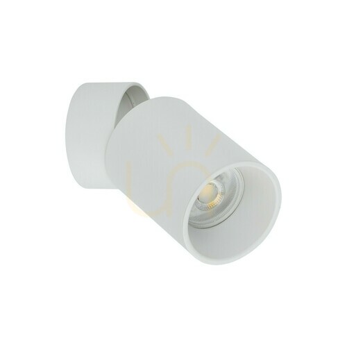 Check Top Downlight White Gu 10