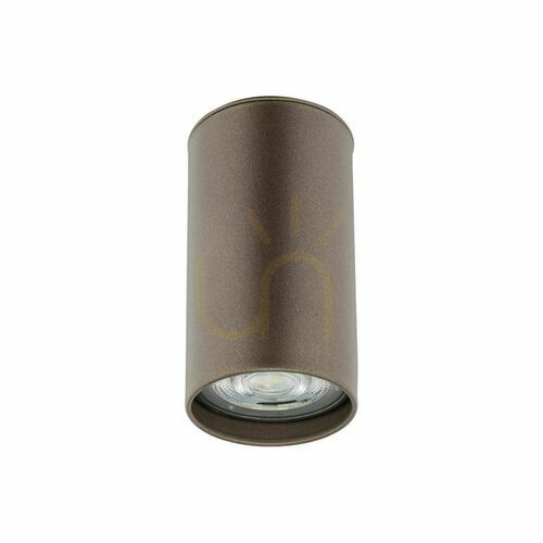 Check Top Brown 1 Point