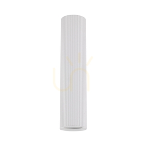 Tune White L small 7