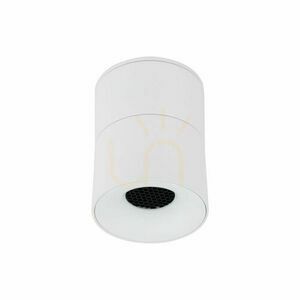 Spark White Cct 10 W small 9