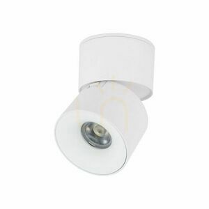 Spark White Cct 10 W small 0