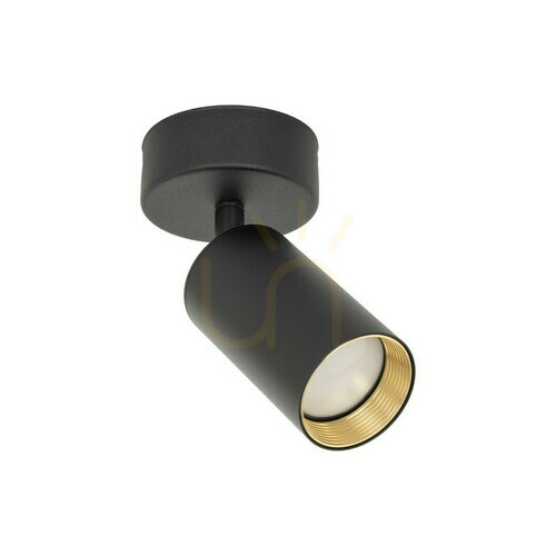 Check Amis Black Lighting Fixture 1