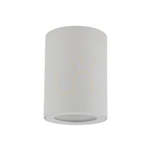 Ligno White Gu10 small 1