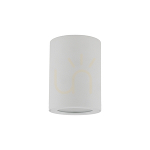 Ligno White Gu10 small 4