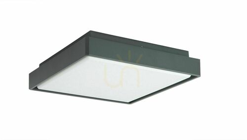 Check SU-MA LED Outdoor Ceiling Light Dark Ash 28.5 cm BN-KW285XL