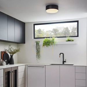Cedric plafond - 2 light sources - Black Elstead small 3