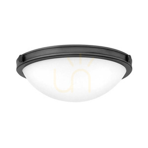 Collier Small Flush Ceiling Light - 2 lights - Black Oxide Elstead small 0