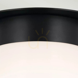 Albers Flush Ceiling Light - 1 Light - Black, Opal Glass Shade Elstead small 2
